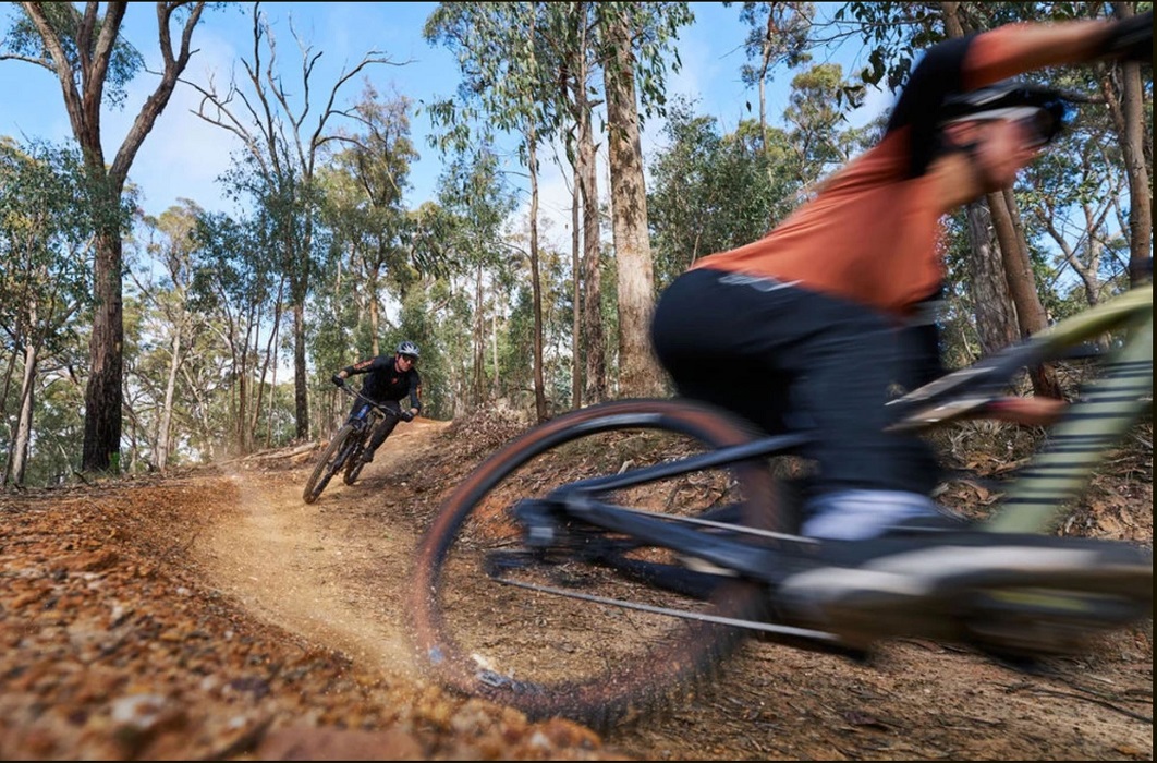 Shows two riders travelling downhill on a dirt trail, surrounded by gum trees. The rider in the bottom right of the image is slightly blurry due to their speed, and their back wheel is kicking up dust and rocks. The rider in the top left of the image is following them down the trail, leaning to the right as they take a turn in the trail.