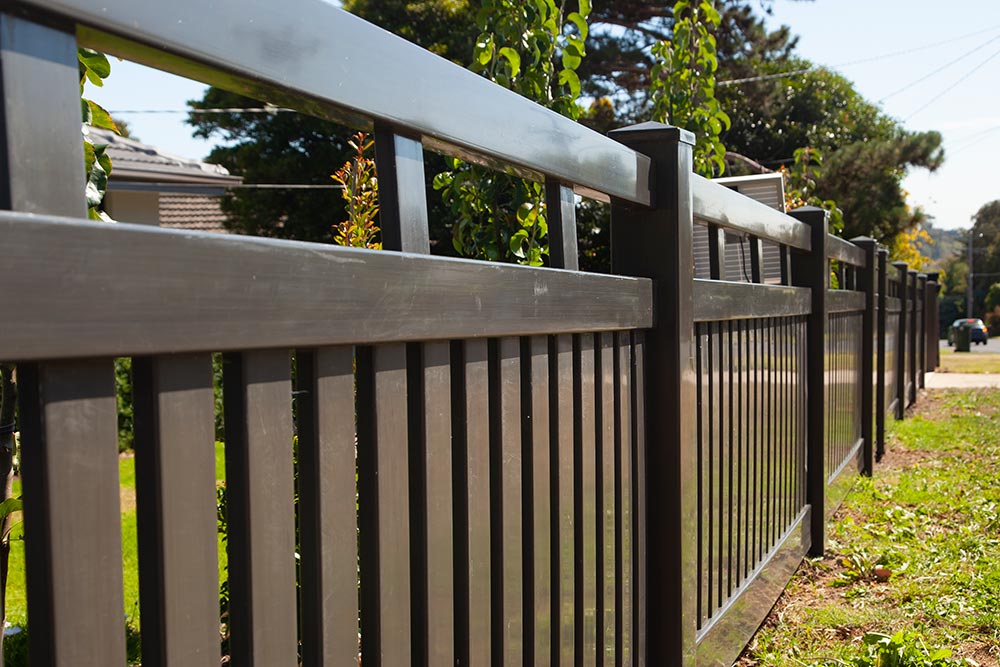 Black railed fencing visible in the centre of image, with grass visible at the bottom of the frame and trees at the top of the frame